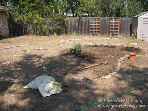 10-2008garden.JPG