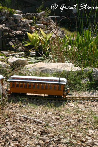2011pondtours06-11-11.jpg
