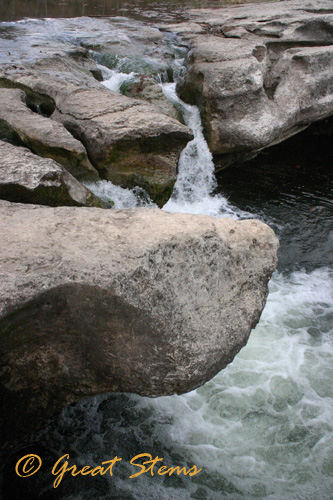 2mfspb12-24-09.jpg