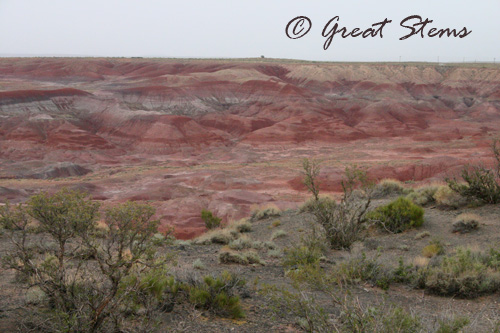 AZpetrifiedj07-10.jpg