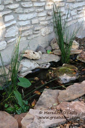 a3pond10-11.jpg