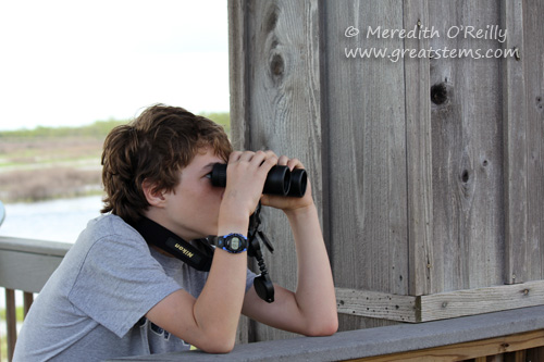 binoculars03-16-12.jpg
