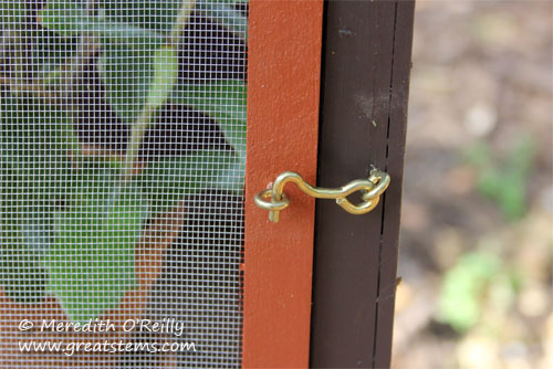 butterflyhousee06-30-12.jpg