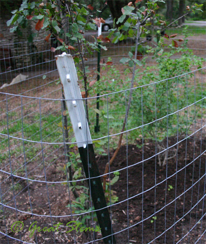 deerfence10-09-09.jpg