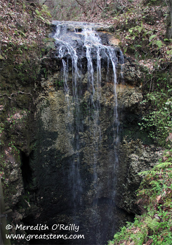 fallingwaters03-11-12.jpg