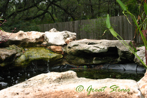 gatorpond10-05-09.jpg