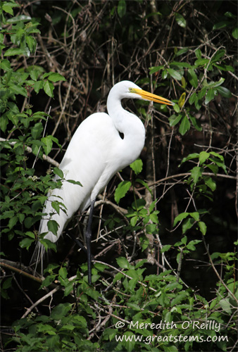 greategret03-12-12.jpg