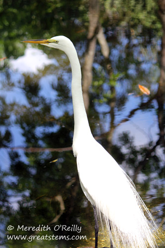 greategret03-16-12.jpg