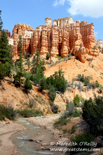 Bryce Canyon