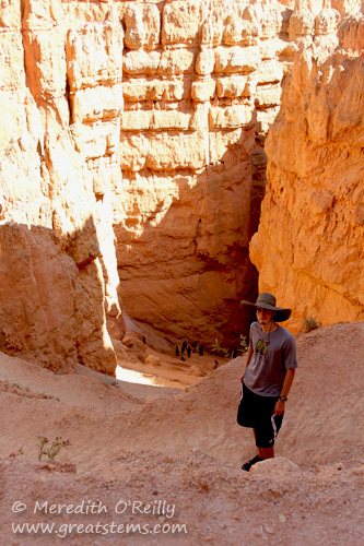 Navajo Loop, Bryce Canyon