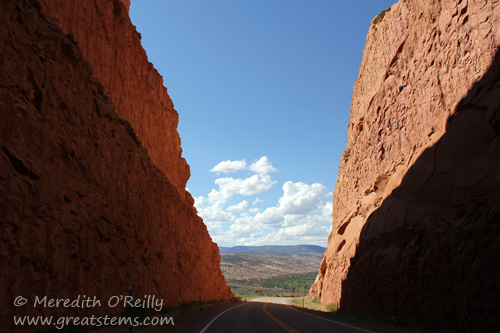 Driving view in southern Utah