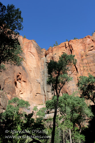 Zion National Park