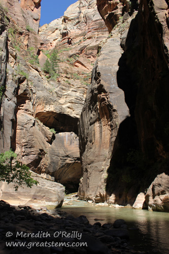 Narrows at Zion