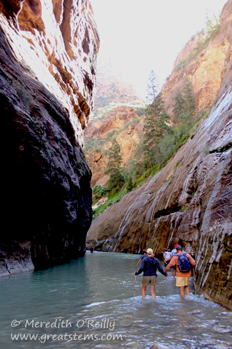 Narrows at Zion