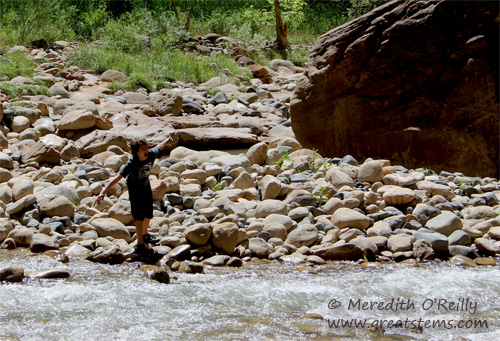 Narrows at Zion