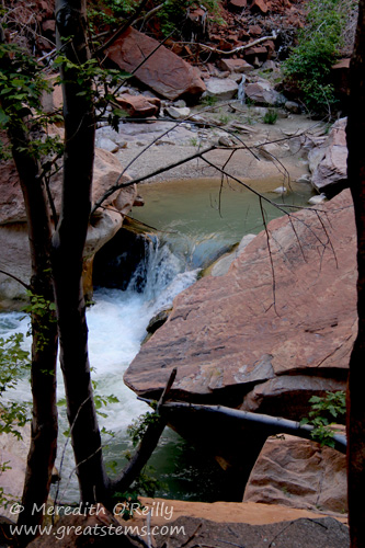 Virgin River