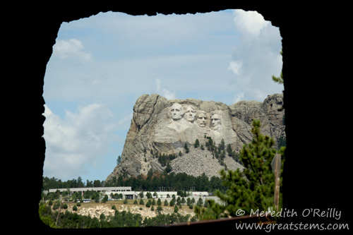 Mount Rushmore