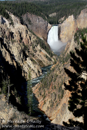 Grand Canyon of Yellowstone