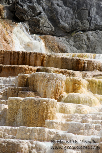 Mammoth Hot Springs