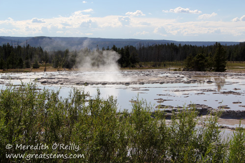 Great Fountain Geyser