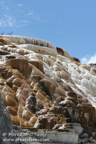 Mammoth Hot Springs