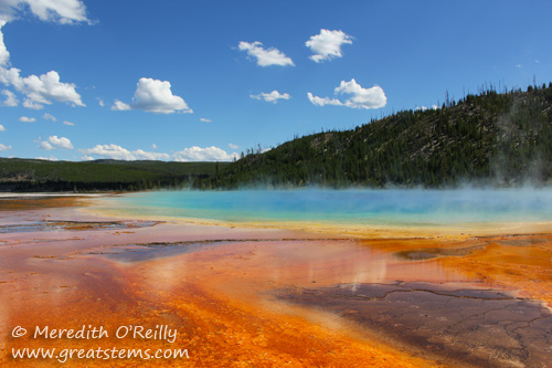 Grand Prismatic Spring