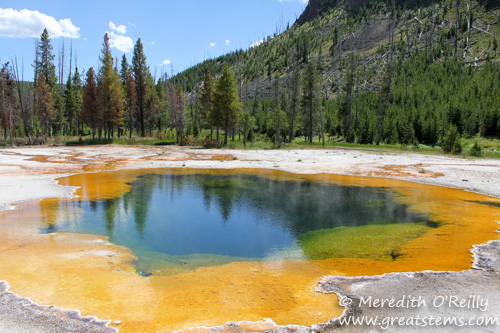 Emerald Pool, Yellowstone