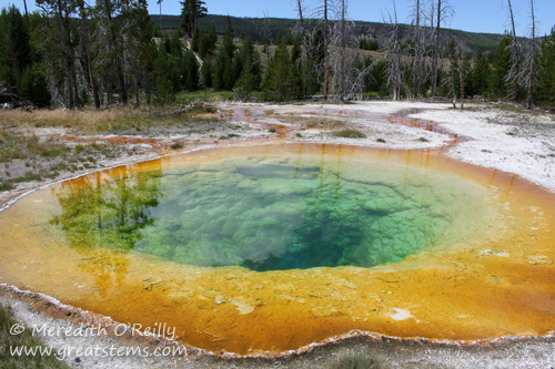 Morning Glory Pool