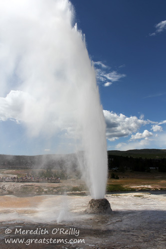 Beehive Geyser