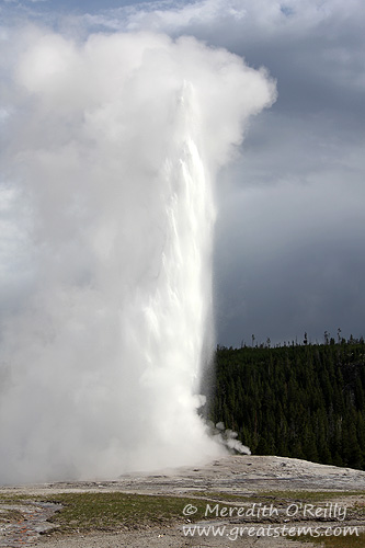 Old Faithful