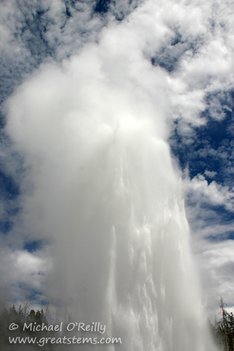 Grand Geyser