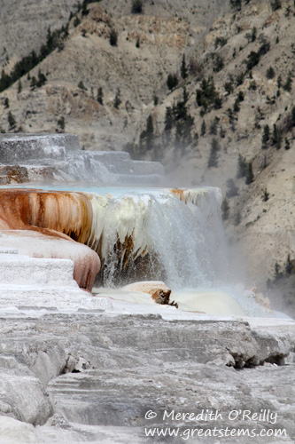 Mammoth Hot Springs