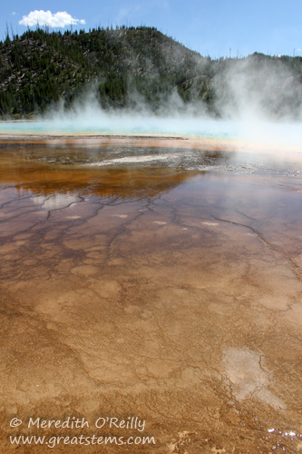 Grand Prismatic Spring