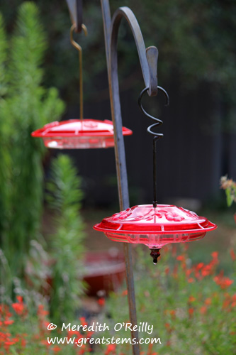 Hummingbird feeders