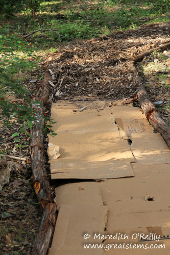 Cardboard layer for mulched pathway