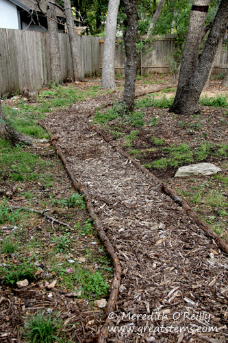 Mulched woodland pathway