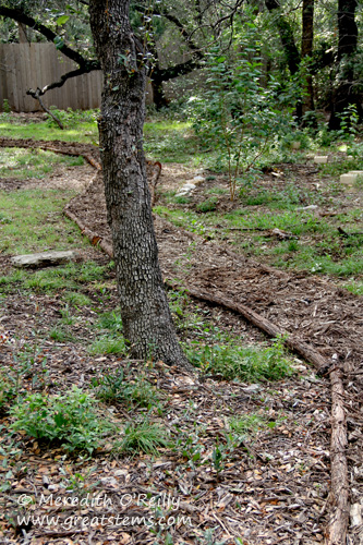 Mulched woodland pathway