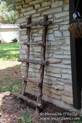 Cedar Trellis