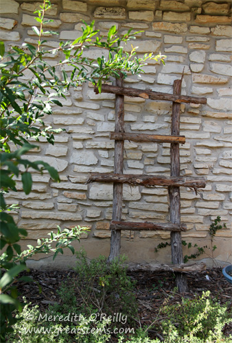 cedar trellis