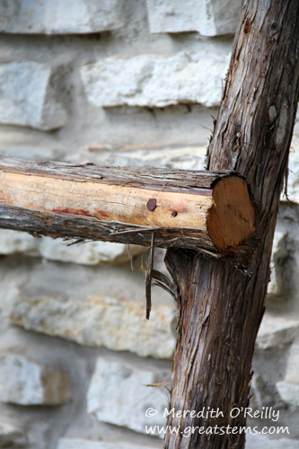 cedar trellis