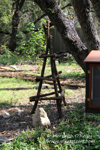 cedar trellis tripod