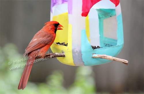 Image result for bird feeder recycled materials