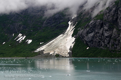 glacierbayc07-02-13