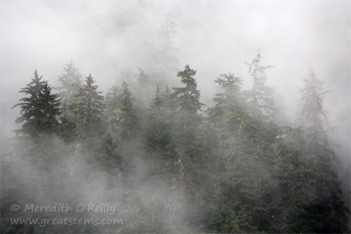 juneaufog07-01-13