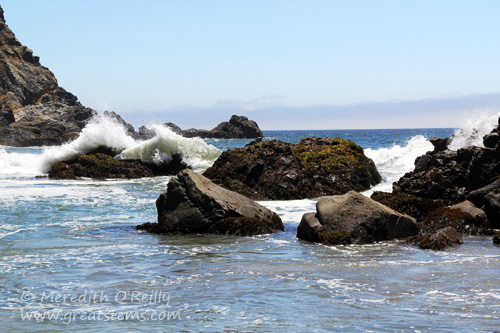 pfeifferbeach07-09-13