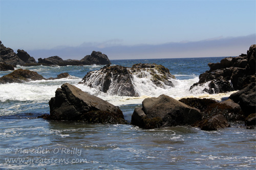 pfeifferbeachd07-09-13