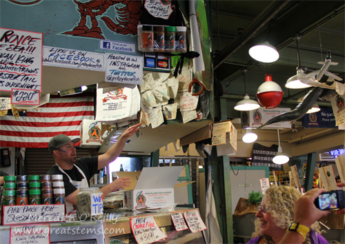 pikeplacefish07-06-13