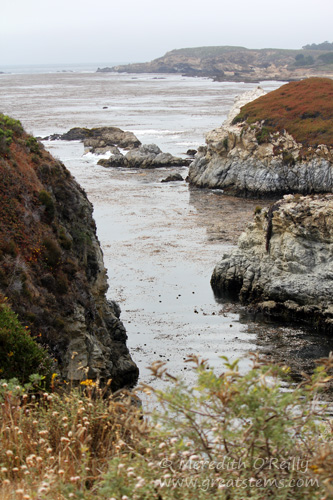 pointlobos07-09-13