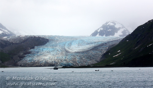 reidglacier07-02-13