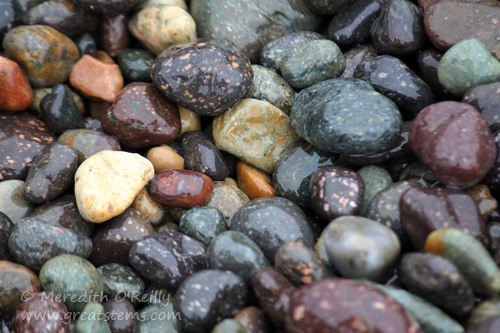 rocks